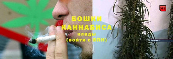 ПСИЛОЦИБИНОВЫЕ ГРИБЫ Абаза