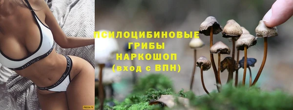 мяу мяу мука Нефтегорск