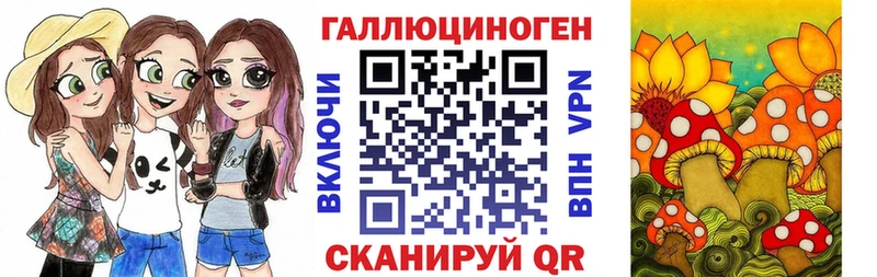 сколько стоит  Рославль  Галлюциногенные грибы Psilocybine cubensis 